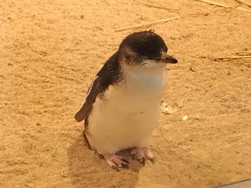 AOAO SAPPOROに投稿された画像（2024/6/26）