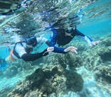 宮古島 ADVENTURE PiPi（ミヤコジマ アドベンチャー ピピ）に投稿された画像（2024/6/26）