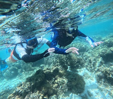 宮古島 ADVENTURE PiPi（ミヤコジマ アドベンチャー ピピ）に投稿された画像（2024/6/26）