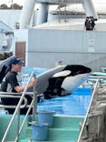名古屋港水族館に投稿された画像（2024/6/26）