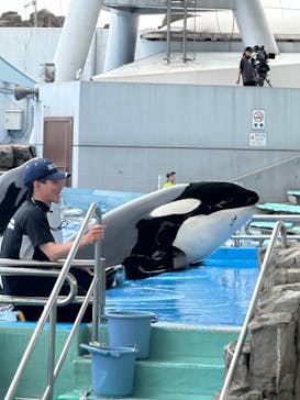 名古屋港水族館に投稿された画像（2024/6/26）