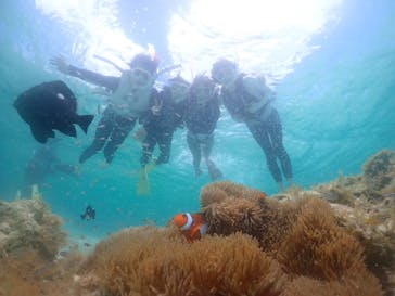 タビワク　宮古島に投稿された画像（2024/6/26）