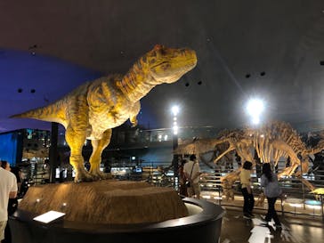 福井県立恐竜博物館に投稿された画像（2024/6/26）