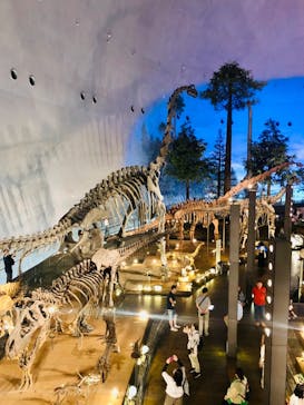 福井県立恐竜博物館に投稿された画像（2024/6/26）