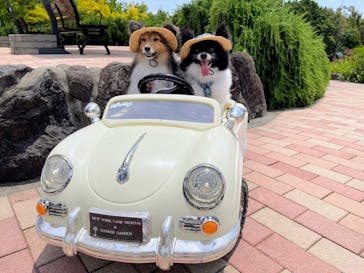 ニューヨークランプミュージアム＆フラワーガーデンに投稿された画像（2024/6/27）