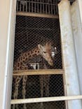 宇都宮動物園に投稿された画像（2024/6/27）