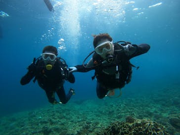 武藤潜水に投稿された画像（2024/6/27）