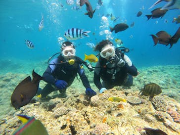 武藤潜水に投稿された画像（2024/6/27）