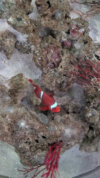 マクセル アクアパーク品川に投稿された画像（2024/6/27）