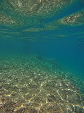 沖縄マリンサービス碧に投稿された画像（2024/6/27）