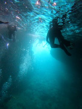 沖縄マリンサービス碧に投稿された画像（2024/6/27）