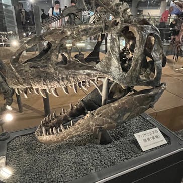 福井県立恐竜博物館に投稿された画像（2024/6/27）