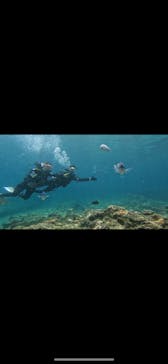 武藤潜水に投稿された画像（2024/6/27）