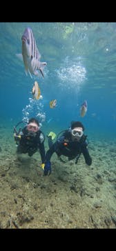 武藤潜水に投稿された画像（2024/6/27）