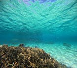 marine assist DEMI（マリンアシストデミ）に投稿された画像（2024/6/27）