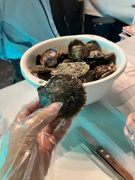 しながわ水族館に投稿された画像（2024/6/27）