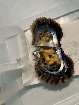 しながわ水族館に投稿された画像（2024/6/27）