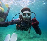 沖縄マリンサービス碧に投稿された画像（2024/6/27）