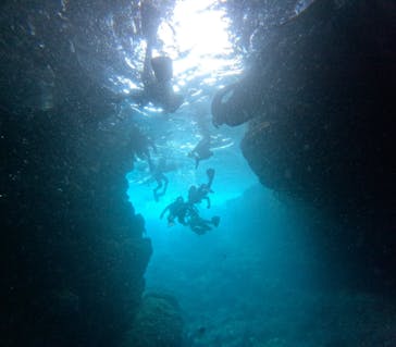 沖縄マリンサービス碧に投稿された画像（2024/6/27）