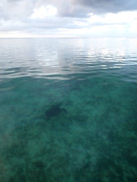 グライドパドルサービスに投稿された画像（2024/6/27）