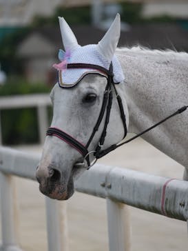 園田競馬場に投稿された画像（2024/6/27）