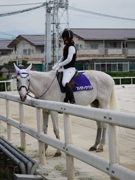 園田競馬場に投稿された画像（2024/6/27）