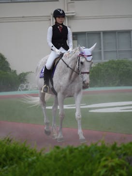 園田競馬場に投稿された画像（2024/6/27）