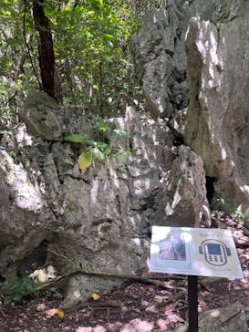 アスムイハイクスに投稿された画像（2024/6/27）