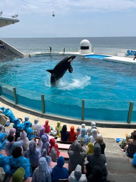 鴨川シーワールドに投稿された画像（2024/6/27）