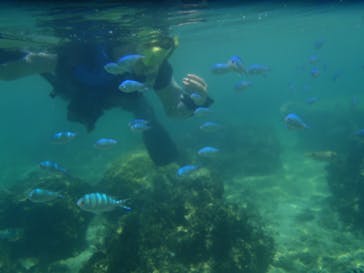 マリンカンパニーに投稿された画像（2024/6/27）