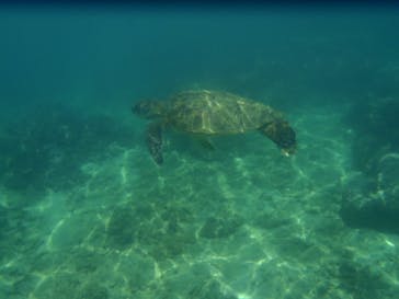 マリンカンパニーに投稿された画像（2024/6/27）