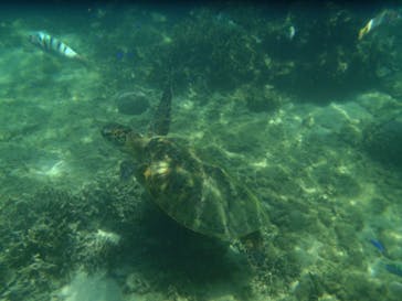 マリンカンパニーに投稿された画像（2024/6/27）