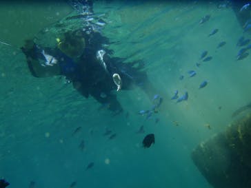 マリンカンパニーに投稿された画像（2024/6/27）