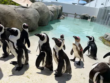 仙台うみの杜水族館に投稿された画像（2024/6/27）