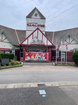 IPCわんわん動物園に投稿された画像（2024/6/27）