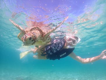 タビワク　宮古島に投稿された画像（2024/6/27）