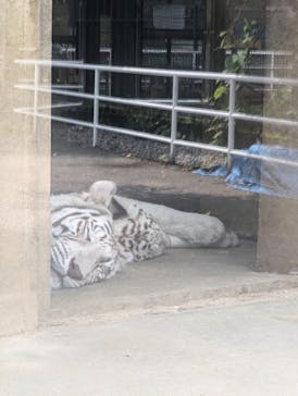 宇都宮動物園に投稿された画像（2024/6/27）