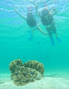 宮古島 ADVENTURE PiPi（ミヤコジマ アドベンチャー ピピ）に投稿された画像（2024/6/27）