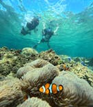 西表島 ADVENTURE PiPi（アドベンチャーピピ）に投稿された画像（2024/6/27）