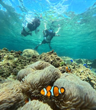 西表島 ADVENTURE PiPi（アドベンチャーピピ）に投稿された画像（2024/6/27）