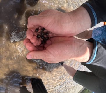 西表島 ADVENTURE PiPi（アドベンチャーピピ）に投稿された画像（2024/6/27）