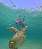 nico 宮古島に投稿された画像（2024/6/27）