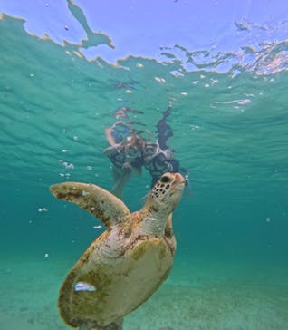 nico 宮古島に投稿された画像（2024/6/27）