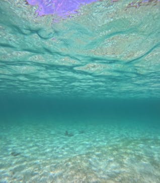 nico 宮古島に投稿された画像（2024/6/27）