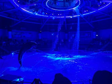 マクセル アクアパーク品川に投稿された画像（2024/6/27）