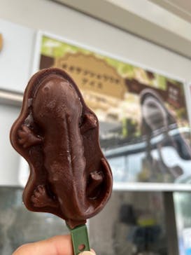 京都水族館に投稿された画像（2024/6/27）