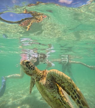 nico 宮古島に投稿された画像（2024/6/28）