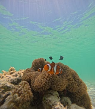 nico 宮古島に投稿された画像（2024/6/28）