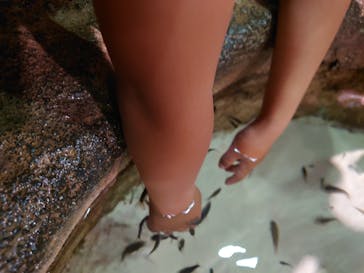 DMMかりゆし水族館に投稿された画像（2024/6/28）