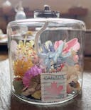 ドライフラワーと暮らしのお店 その灯ぐらし 猫洞店に投稿された画像（2024/6/28）